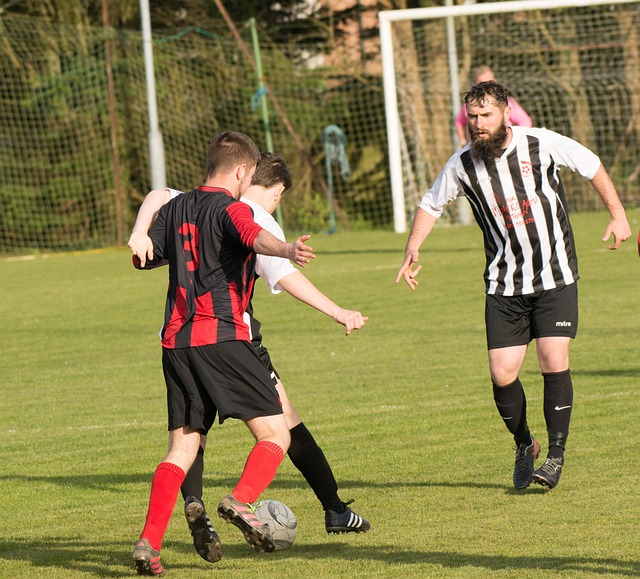 21／22賽季歐冠小組賽第5輪葡萄牙體育3-1多特蒙德 埃姆雷詹染紅貢薩爾維斯梅開二度.