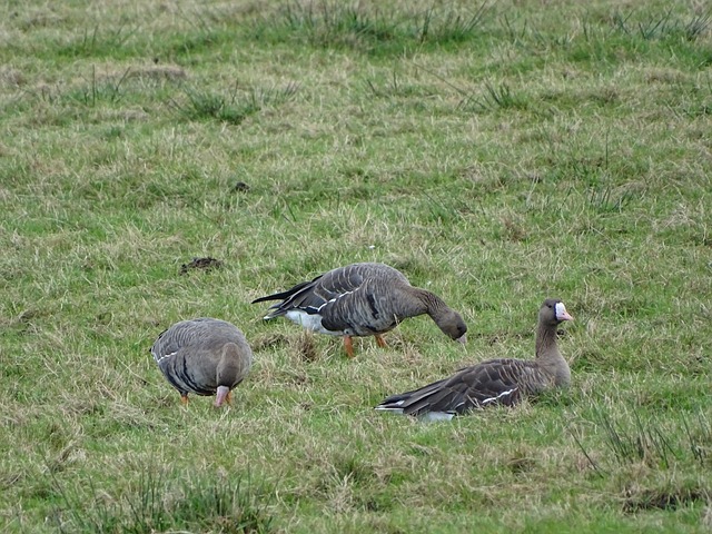 付政浩表示周琦上場就像有個安全繩，他在攻守兩端都能給隊伍穩穩的支撐.