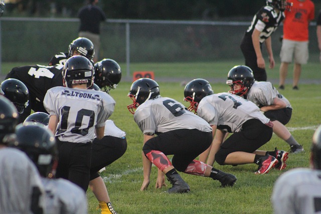 苏炳添：将在十五运会后退役.